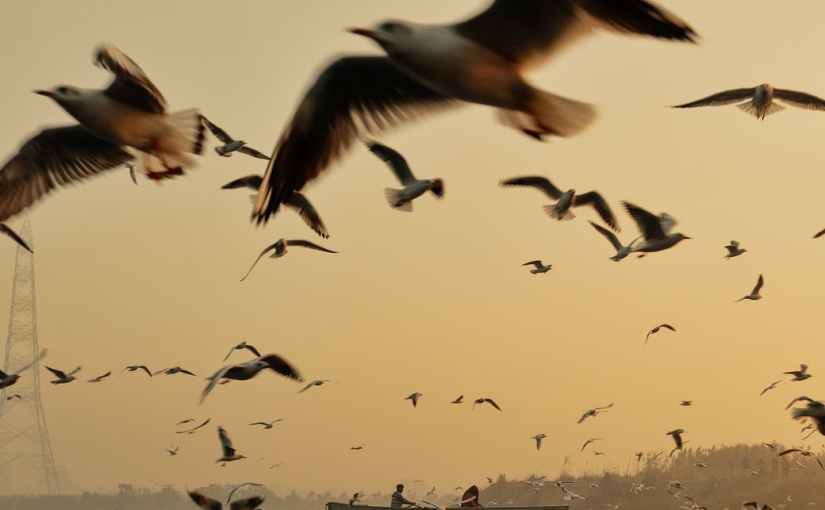 Aging & Me: Fun&nbsp;Facts